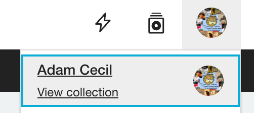 A screenshot of the Bandcamp website, showing the dropdown menu where you select "view collection."