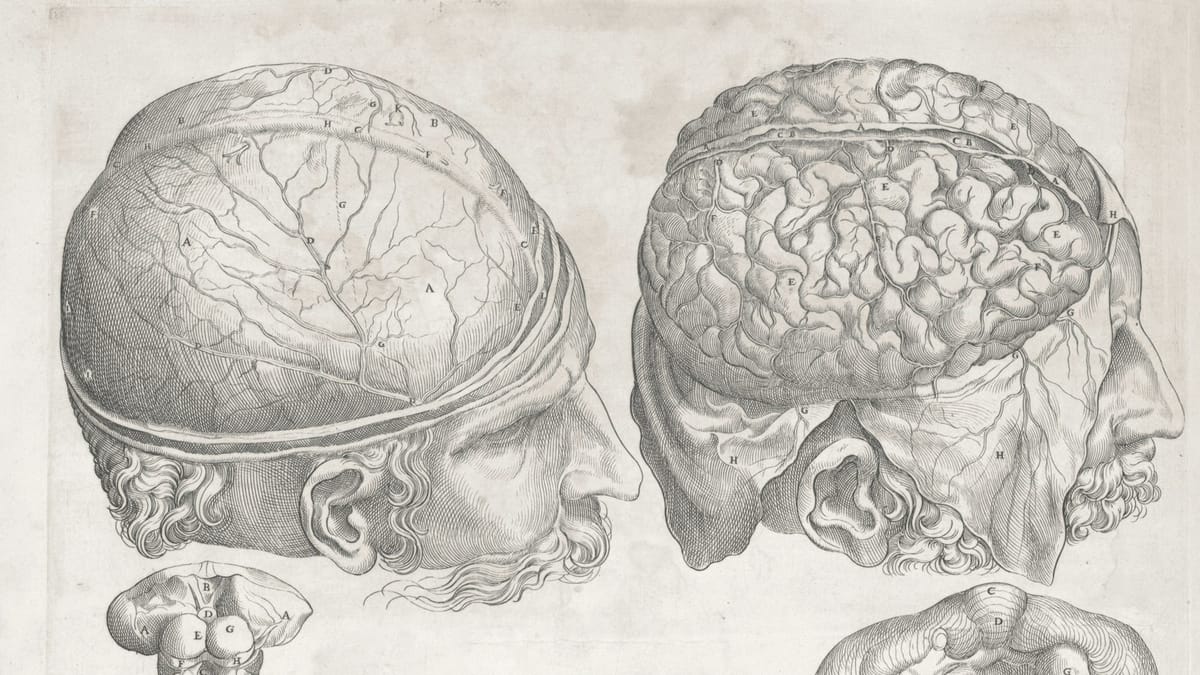 Immersive sound design, or How to wear your brain like a hat